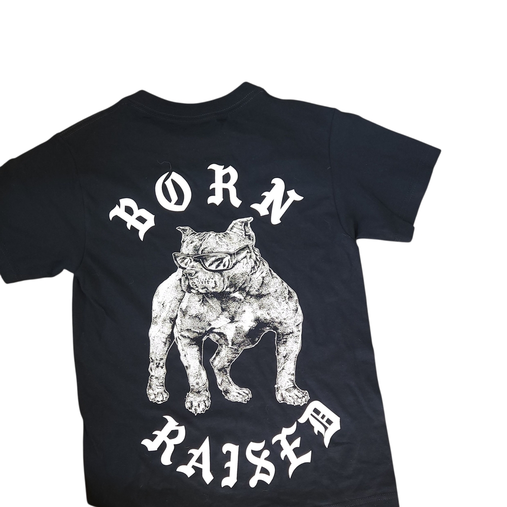 BORN X RAISED Black Tee with Graphic